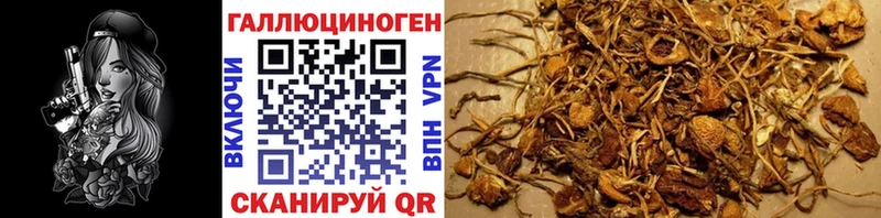 Псилоцибиновые грибы GOLDEN TEACHER  mega ссылки  Верхняя Тура 